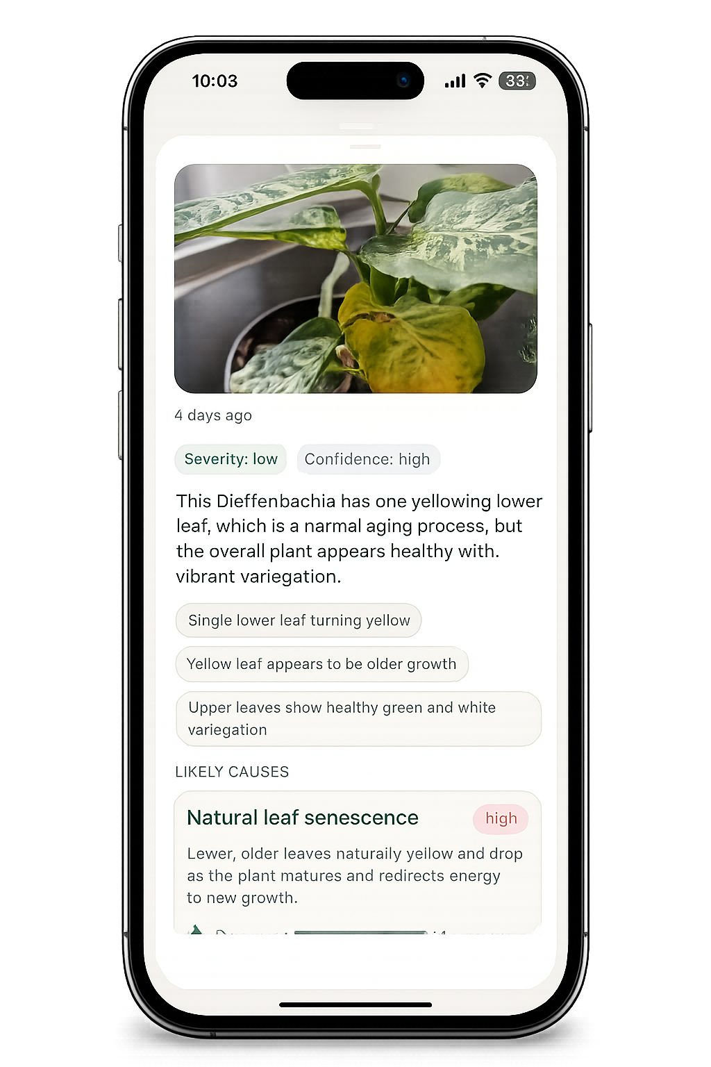 Photo plant diagnosis